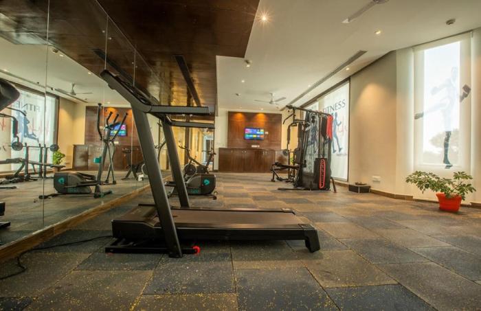 hotel stay vista delhi airport