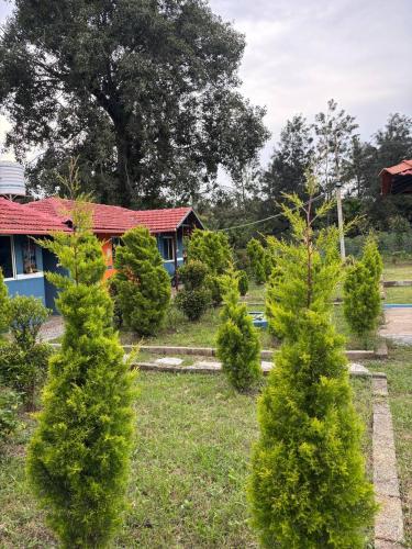 coorg sunrise cottages