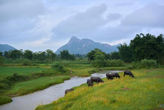 hotel sonar bangla ajodhya hill