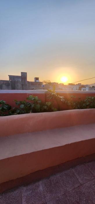hammock hostels jaipur