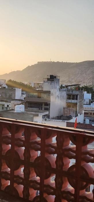 hammock hostels jaipur
