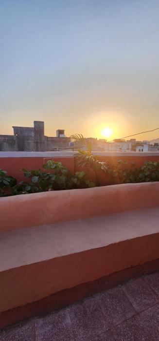 hammock hostels jaipur