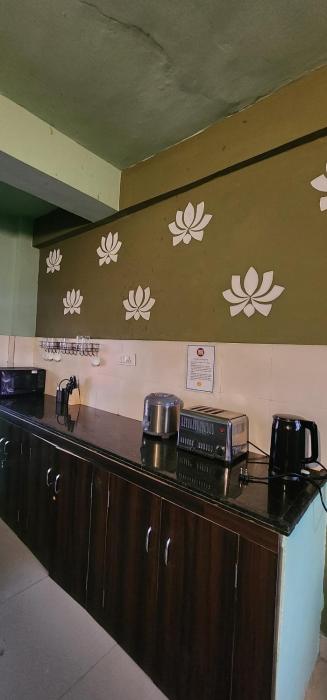 hammock hostels jaipur