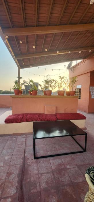 hammock hostels jaipur