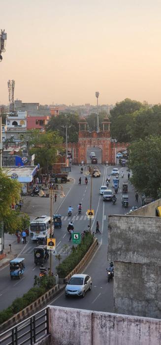 hammock hostels jaipur