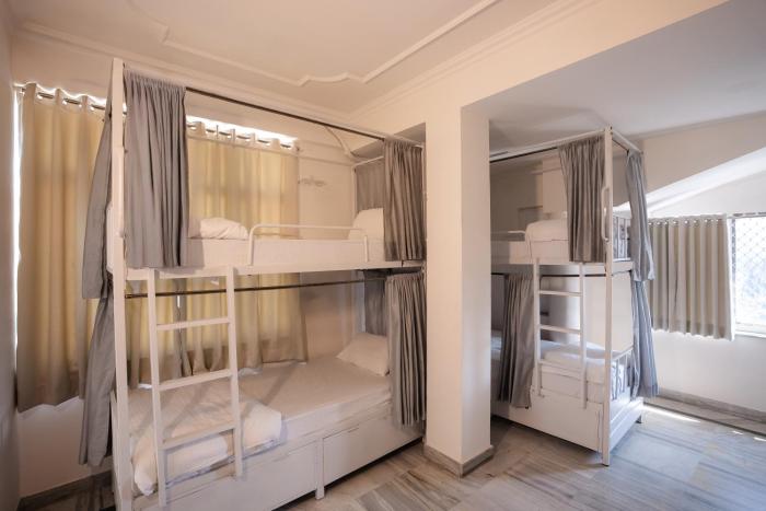 hammock hostels jaipur