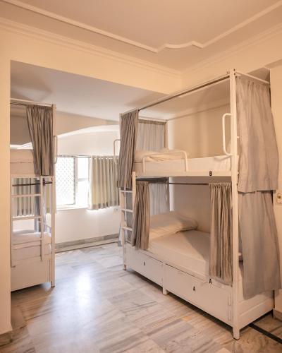 hammock hostels jaipur