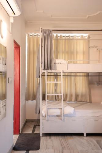 hammock hostels jaipur