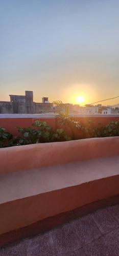 hammock hostels jaipur