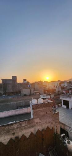 hammock hostels jaipur
