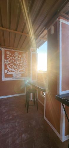 hammock hostels jaipur