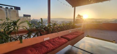 hammock hostels jaipur