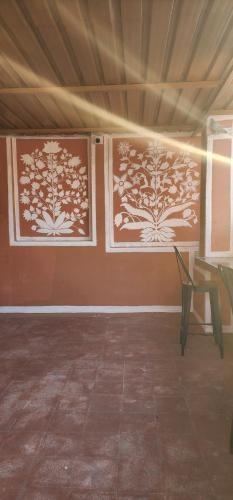 hammock hostels jaipur