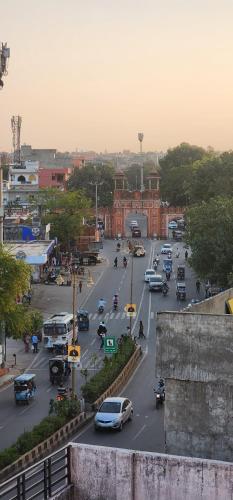hammock hostels jaipur