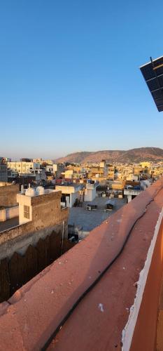 hammock hostels jaipur
