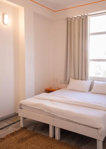 hammock hostels jaipur
