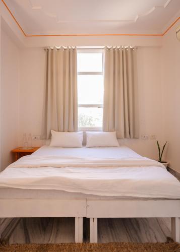 hammock hostels jaipur