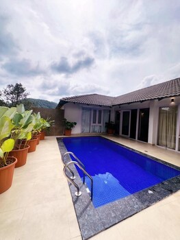 vigok estate coorg