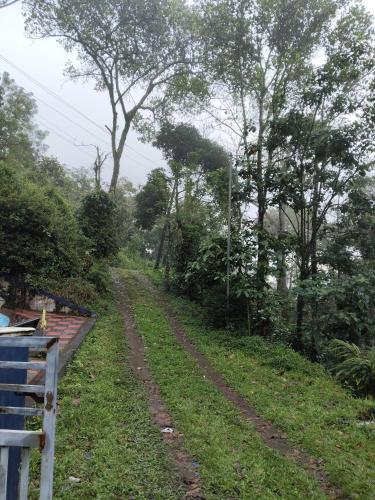 valley homestay munnar