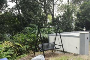 valley homestay munnar