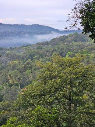 valley homestay munnar