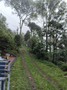 valley homestay munnar