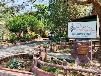 the whistling pine woods