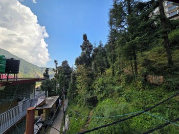 triund view homestay