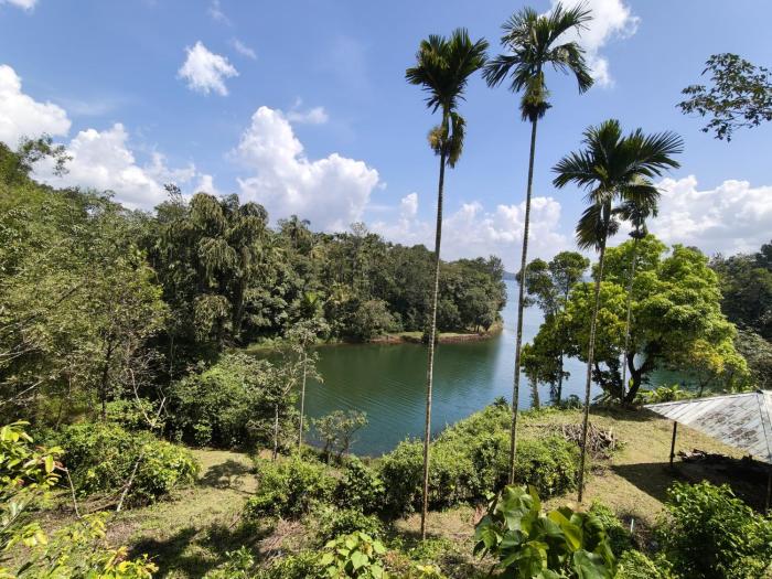 nirvanica retreat banasura dam