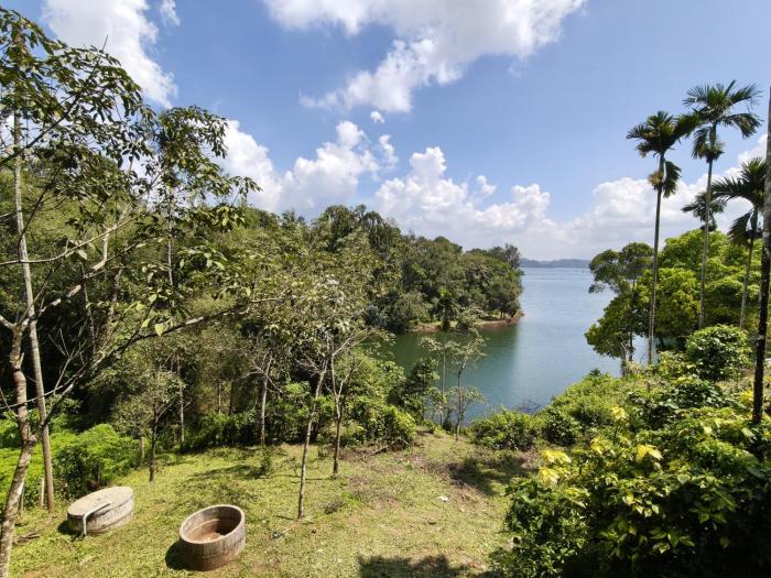 nirvanica retreat banasura dam