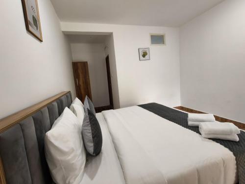 nirvanica retreat banasura dam