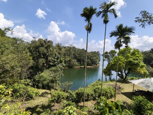 nirvanica retreat banasura dam