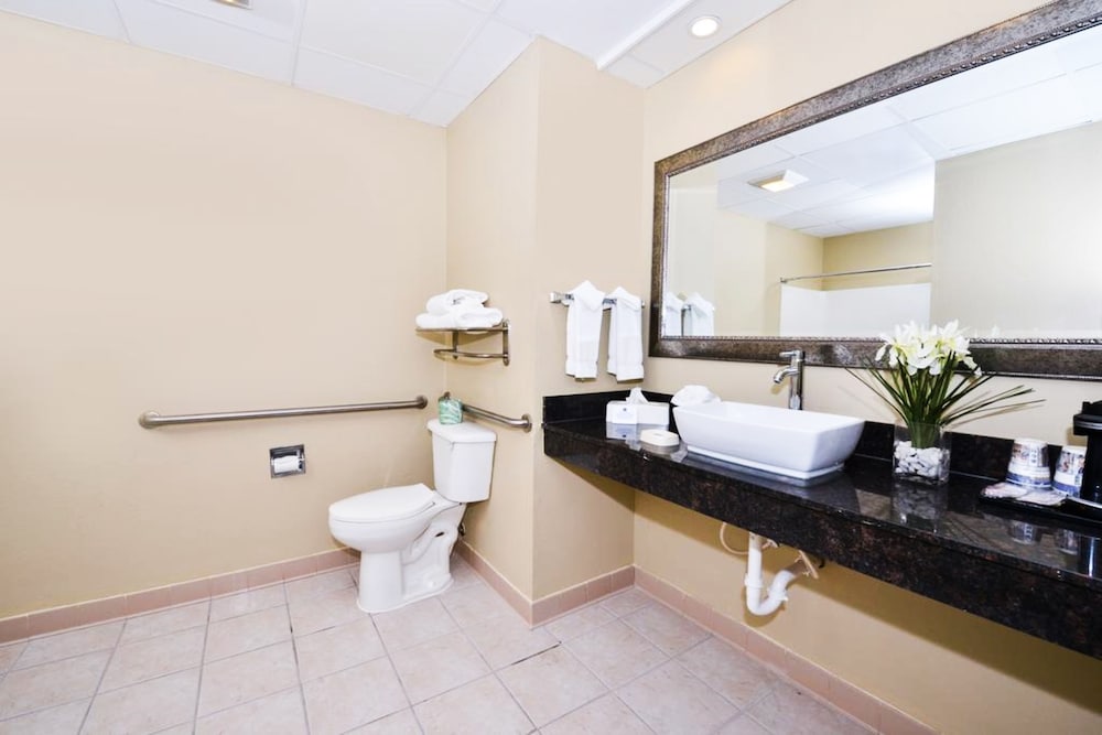 best western savannah airport inn and suites
