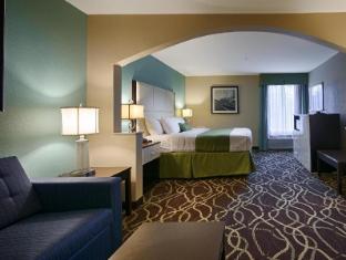 best western savannah airport inn and suites