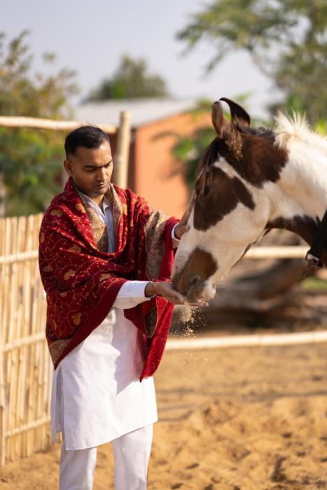 the bagheera retreat