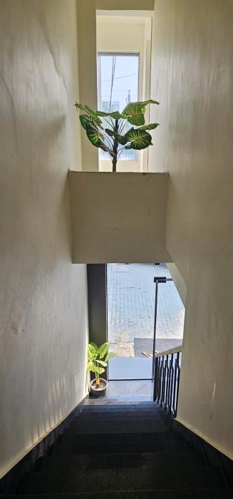 hotel sharanga