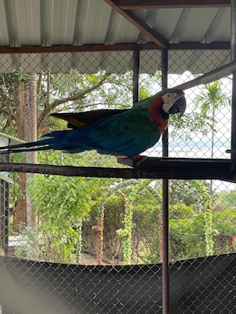 astoria lagoon resort