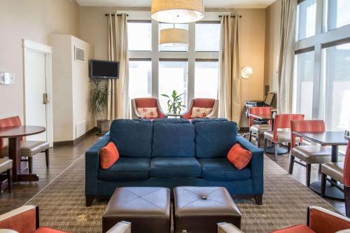 comfort inn and suites