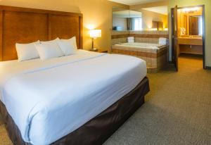 comfort inn and suites