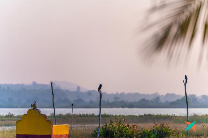 zostel homes kumta