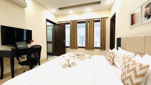 olive studio rooms cyber city gurgaon
