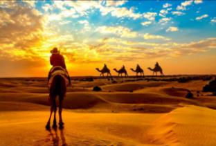 sand world desert camp