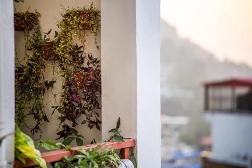 liveaway rishikesh laxman jhula by pack
