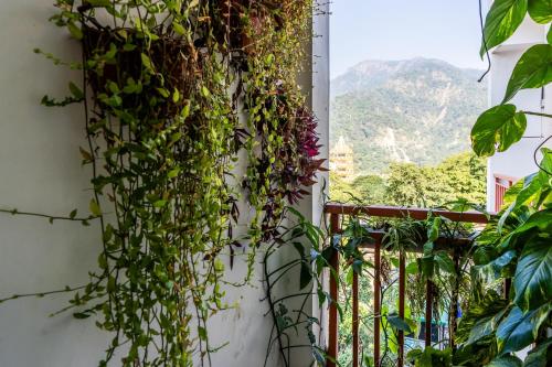 liveaway rishikesh laxman jhula by pack