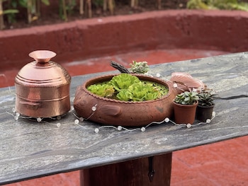 Shantai Luxury Homestay,,3 star