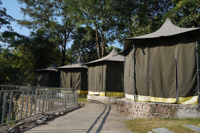 jungle walker resort