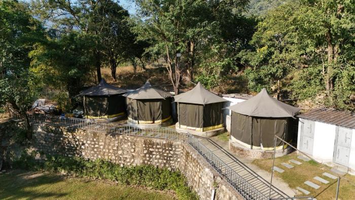 jungle walker resort
