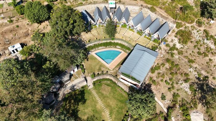 jungle walker resort