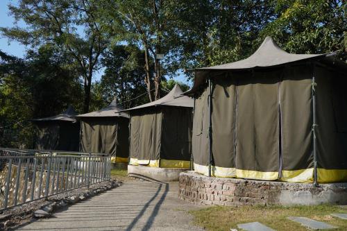 jungle walker resort