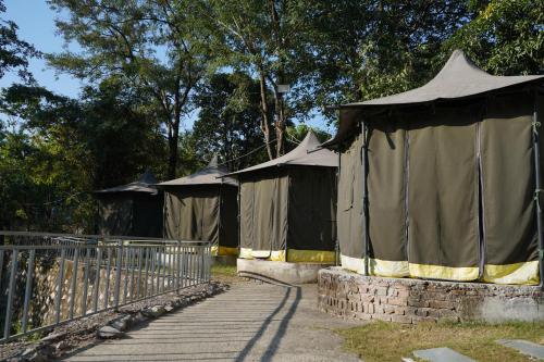 jungle walker resort